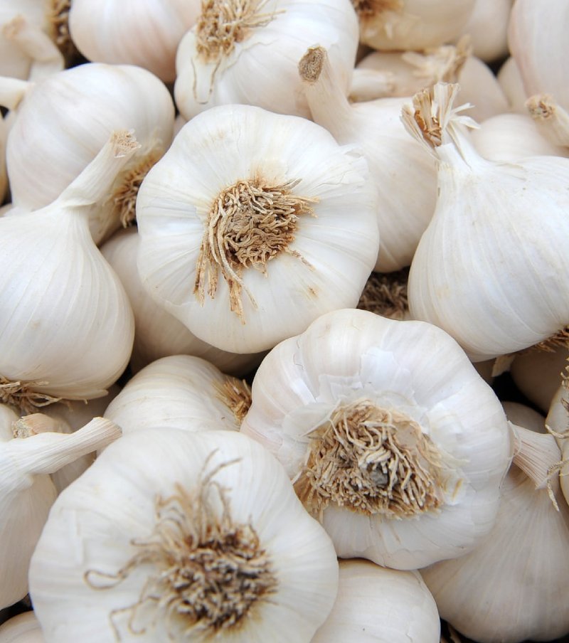 garlic 
